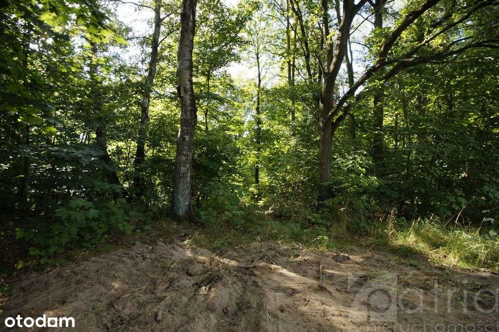 Działka budowlana z dostępem do jeziora 2304 m2-8