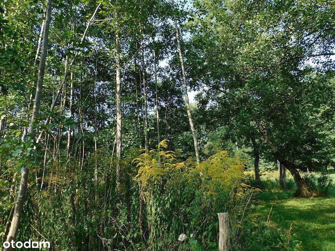 Imielno, działka budowlana - Pełny obrazek: 5/6