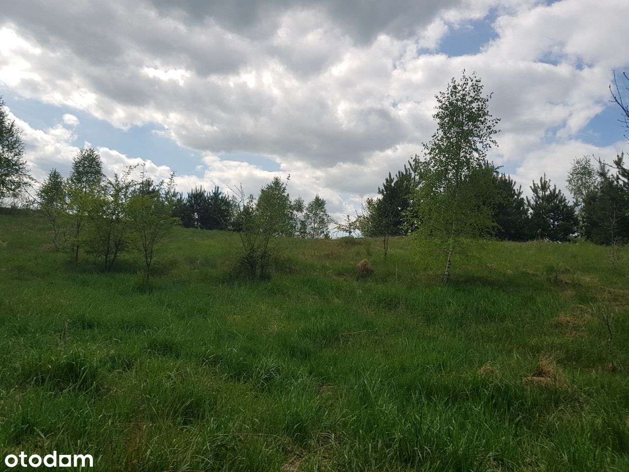 Wyczechowo Działka budowlana-2