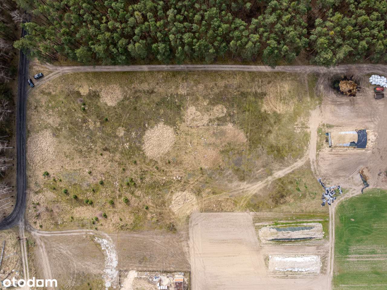 Las za oknem, śpiew ptaków w gratisie, oaza spokoju/Murzynowo Leśne - Pełny obrazek: 4/8