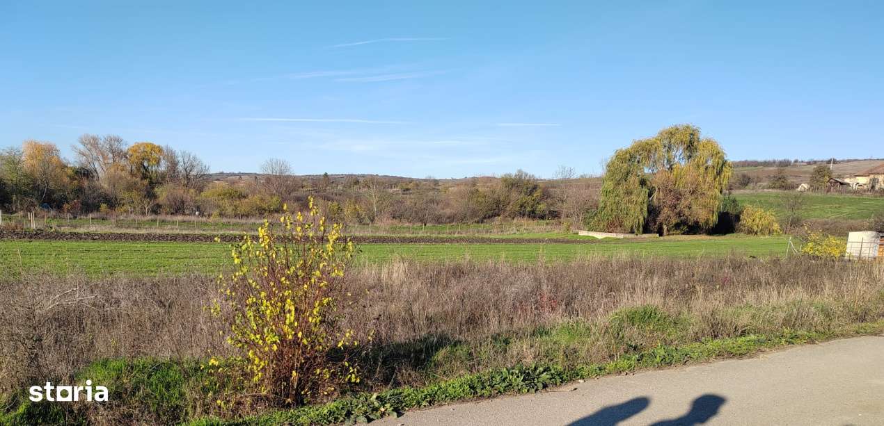 EXCLUSIVITATE -Teren Simnicul de Sus - 1000mp Intravilan - Imagine principală: 1/1