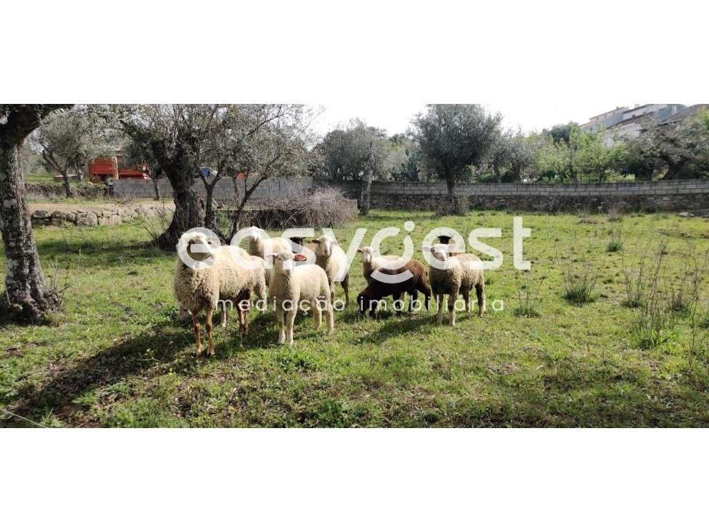 Terreno Rústico com viabilidade de construção e com projeto aprovado. - Grande imagem: 2/40