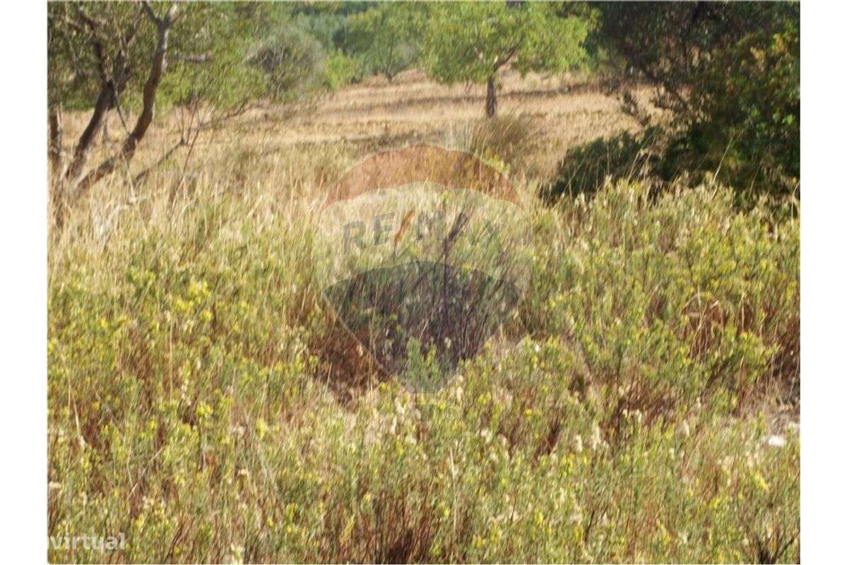 Terreno  para venda - Grande imagem: 5/5