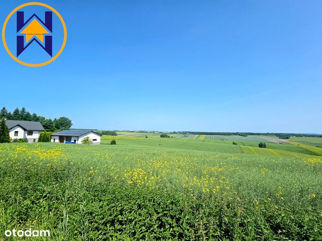 TYLKO U NAS: Działka pod budowę domu, 30 ar, spokojna okolica-4