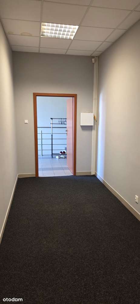 lokal  biurowy  ,  22 m2 - Pełny obrazek: 3/7
