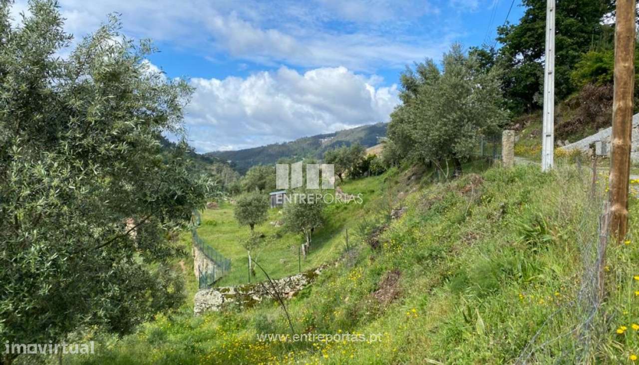 Venda Terreno, São Lourenço do Douro, Marco de Canaveses - Grande imagem: 4/32