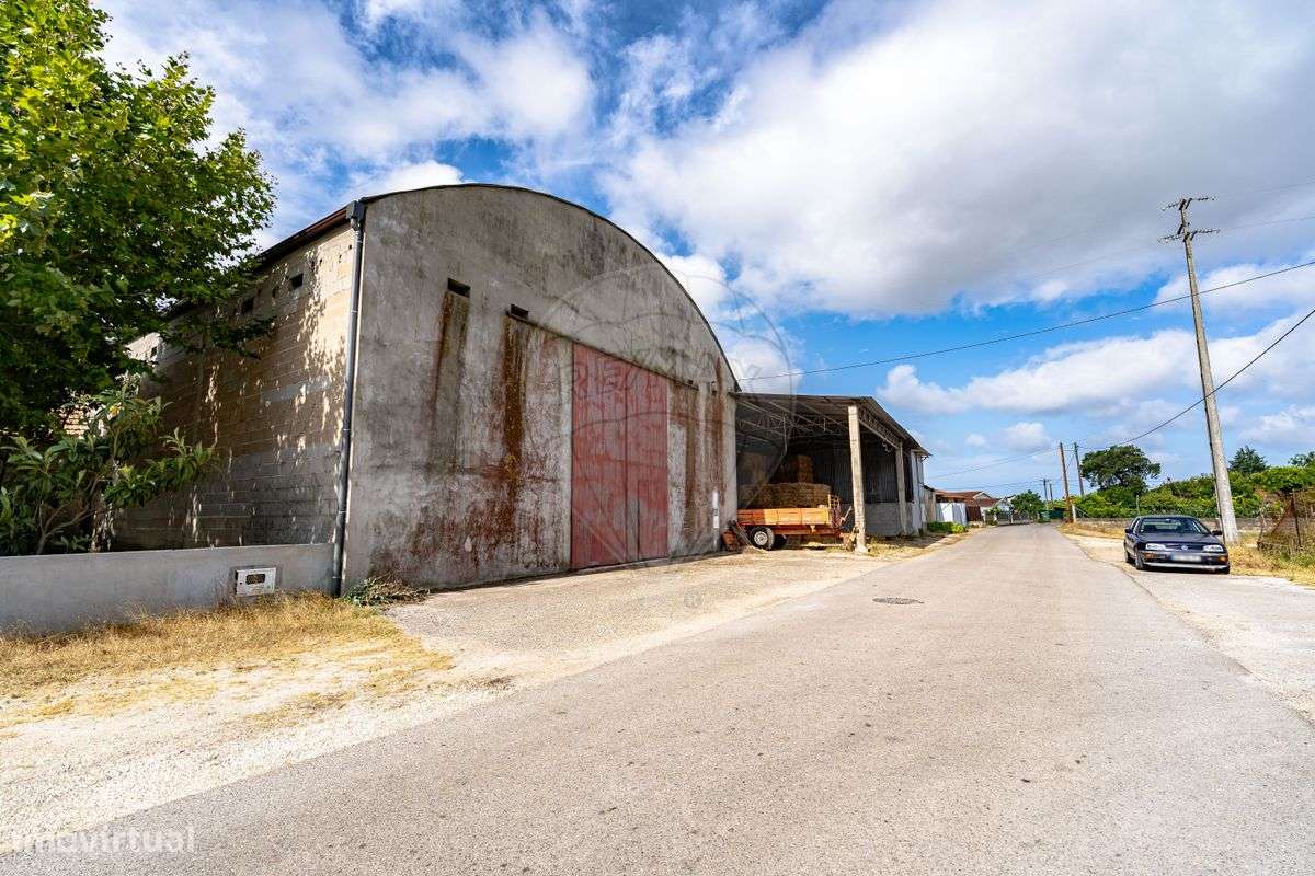 Armazém  para venda - Grande imagem: 4/11