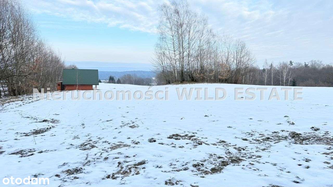 Działka, 11 163 m², Olszanica-1