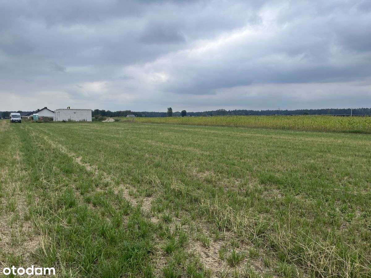 Działka budowlana Zdrój gm. Grodzisk Wlkp - Pełny obrazek: 5/6