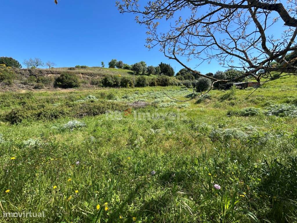 Terreno com projeto em Cem Soldos - Grande imagem: 4/23