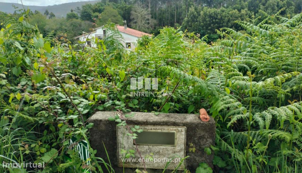 Terreno de construção para venda, Venade, Caminha - Grande imagem: 5/11