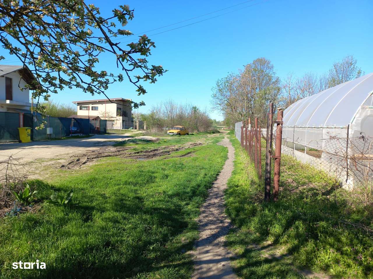 Teren intravilan 2927 mp - com. Domnesti sat Teghes - Imagine principală: 5/16