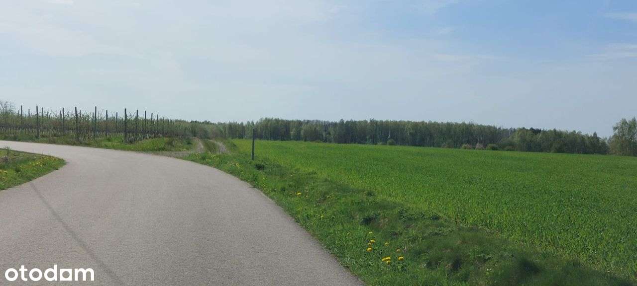 Uzbrojona działka budowlana niedaleko Prażmowa-6