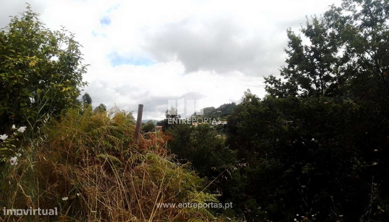 Venda Terreno, Santiago de Piães, Cinfães - Grande imagem: 5/27
