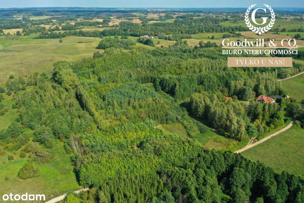 Piękna działka 700m od jeziora! - Pełny obrazek: 4/16