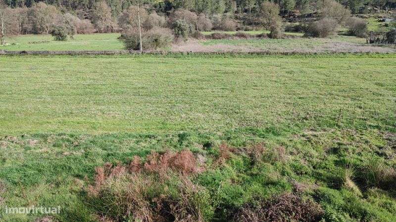 Terreno na Muxagata - Grande imagem: 4/5