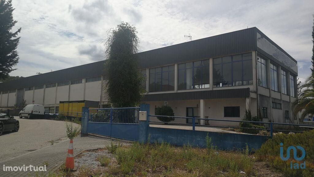 Loja / Estabelecimento Comercial em Leiria de 2622,00 m2