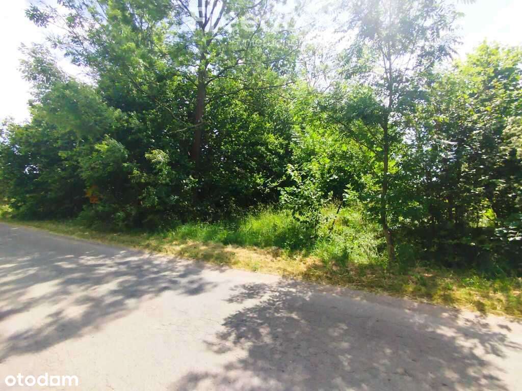 Żarnówka - działka budowlana na sprzedaż - Pełny obrazek: 4/6