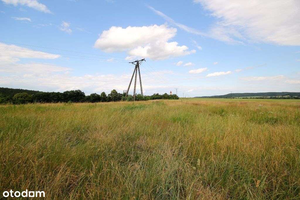 Krajobrazowa działka budowlana w Wolbromku - Pełny obrazek: 5/14