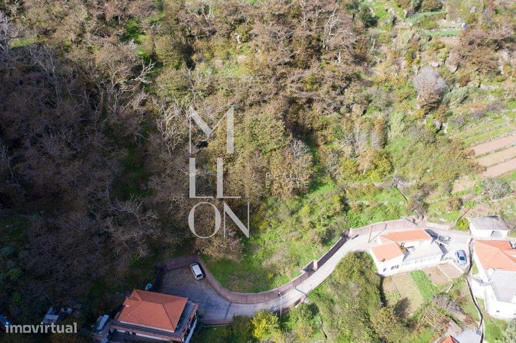 Terreno pitoresco no sítio da Fajã Escura - Grande imagem: 4/18