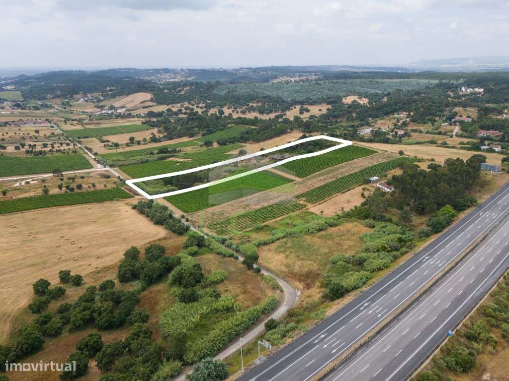 Terreno com 15.840m2 em Aveiras de Cima-6