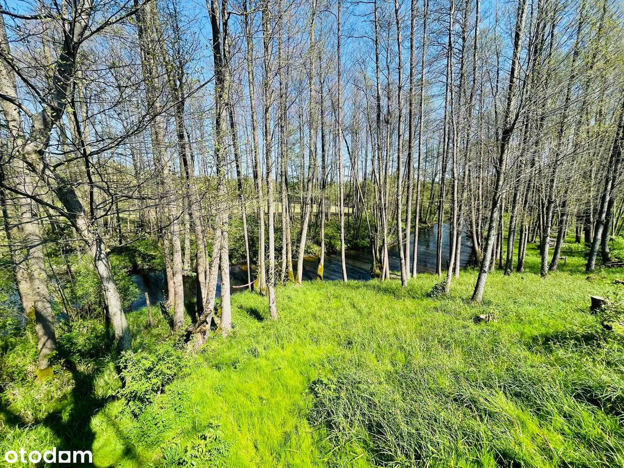 Działka budowlana nad rzeką z potencjałem Tarnowo gm. Szydłowo - Pełny obrazek: 5/18