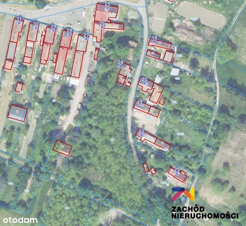 Dom z działką o pow. 6200 m2 w Dąbrowie-5
