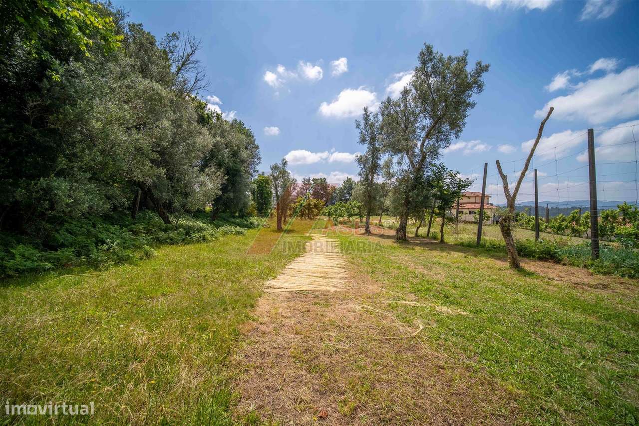 DUAS MORADIAS E ANEXO EM REVELHE - FAFE!-13