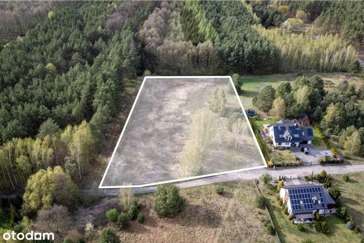 Otoczenie lasu Możliwy podział na 6 działek Plan - Pełny obrazek: 3/10