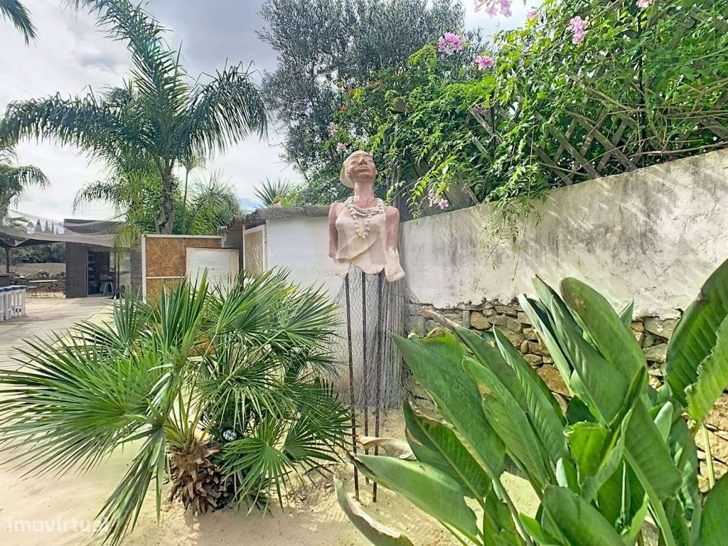 Moradia de charme autêntico + Alojamento Local independente-44