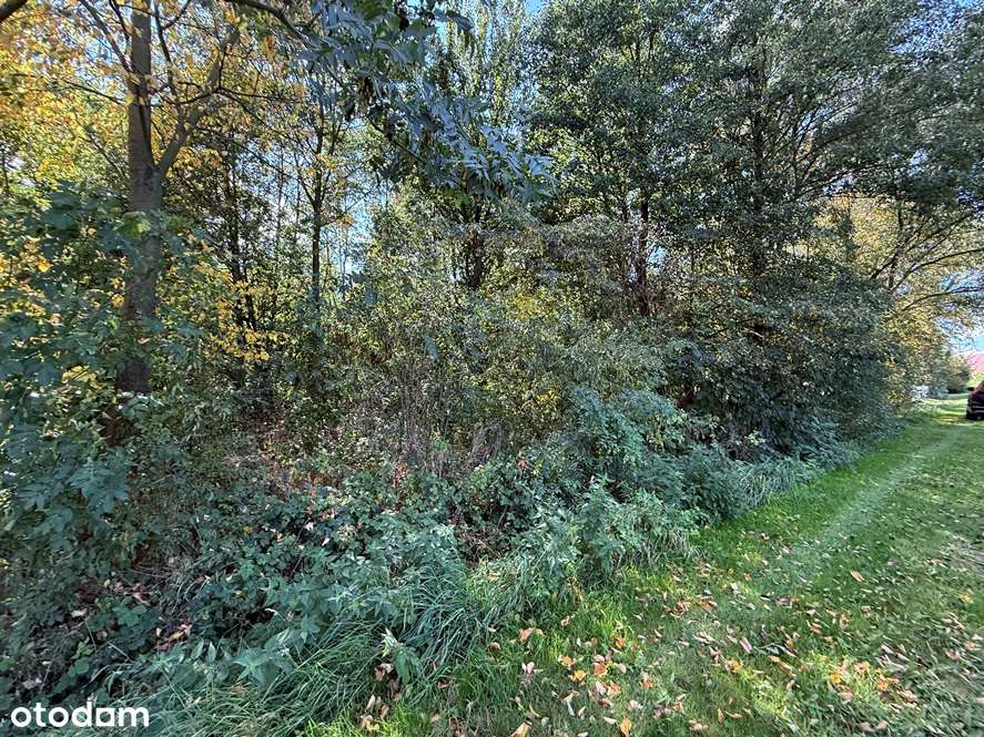 Działka w Przydrożu Wielkim-2