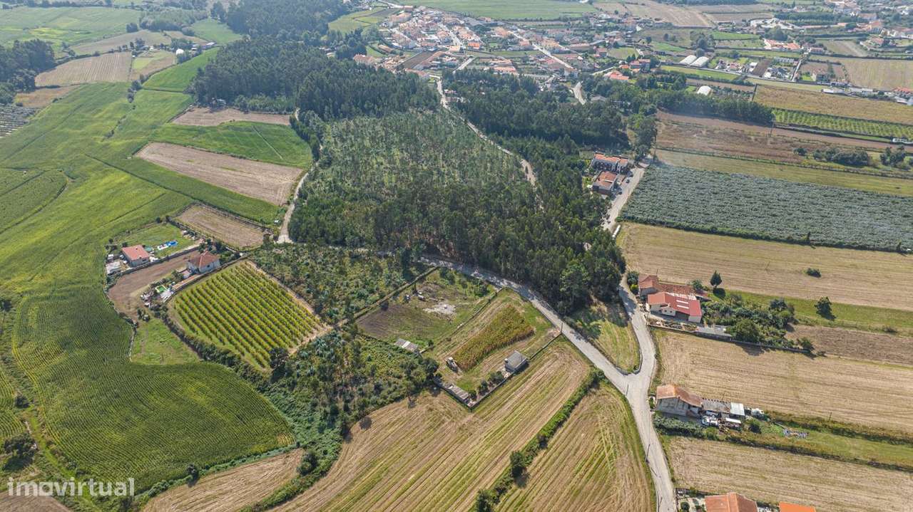 Terreno  para venda - Grande imagem: 5/25