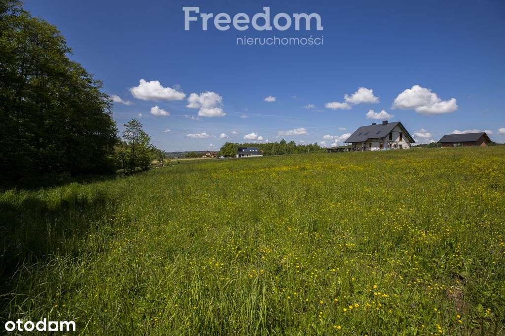 Działka 29,36 ar z Wz, media, Chmielnik-1