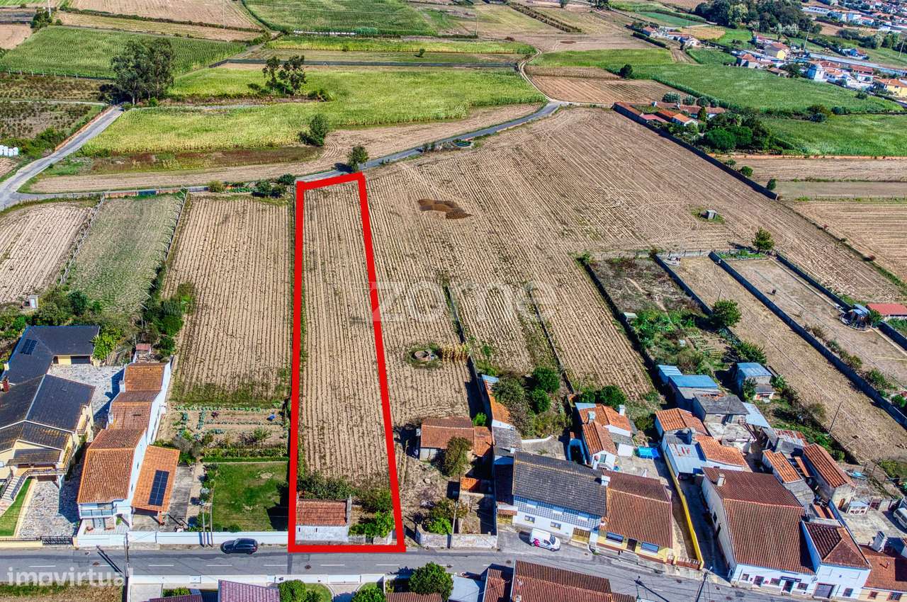 Terreno em Avanca – 1.981,50 m² com Alvará de Loteamento - Grande imagem: 3/24