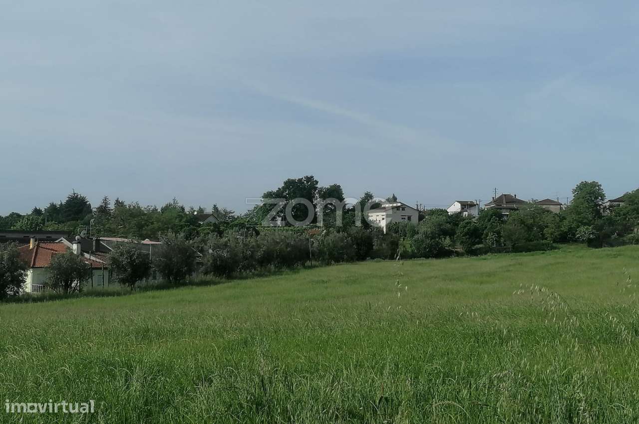 Terreno Rústico e Casas com vista para a Serra do Caramulo - Grande imagem: 2/18