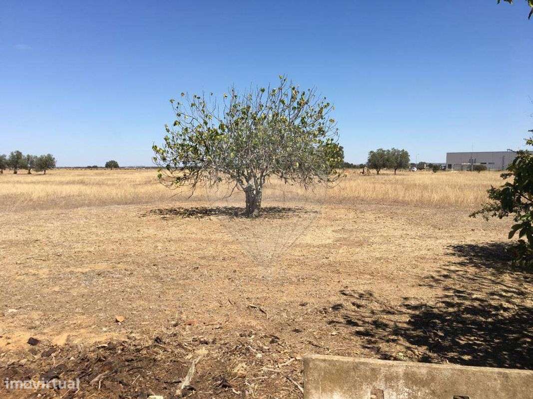 Terreno  para venda - Grande imagem: 5/10