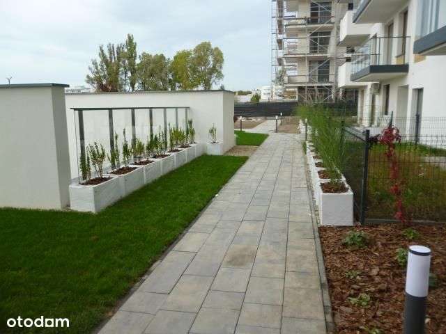 Do wynajęcia mieszkanie w Mławie - Pełny obrazek: 4/12