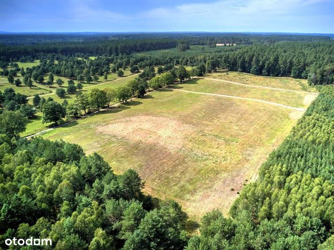 Dołgie, działka budowlana 830 m2, cicha okolica-2