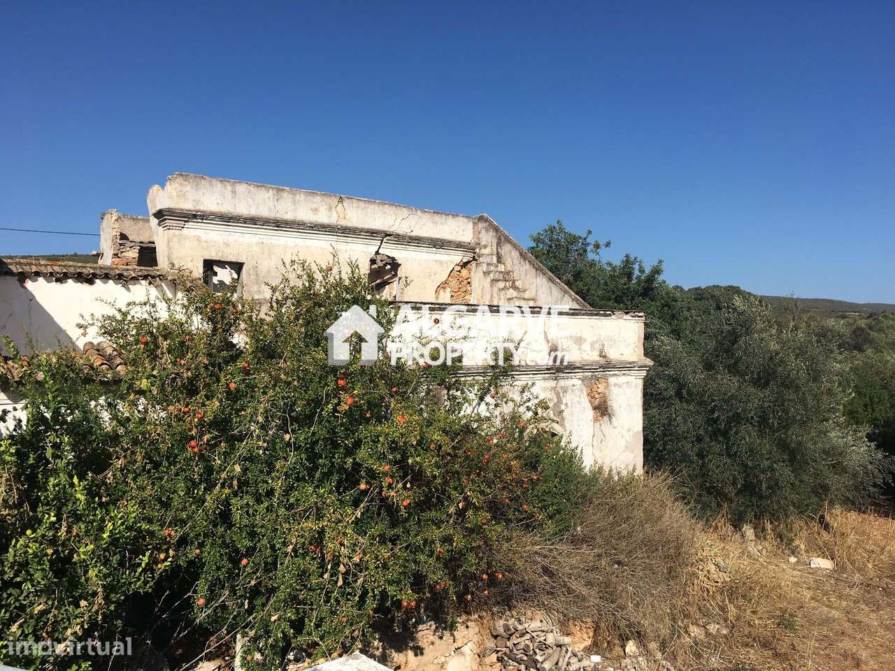 Quinta c/ ruina para renovar com vista de campo - Grande imagem: 3/13