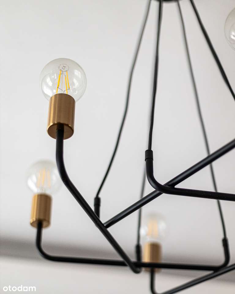 PIĘKNA KAMIENICA | ORYGINALNE ELEMENTY | 2 PIWNICE-7