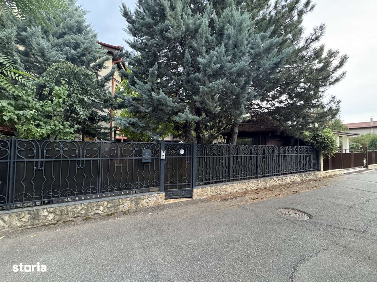 Vilă  deosebită D+P+1E+P/  garaj/curte/ Iancu Nicolae-6