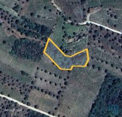 Terreno em Adorigo de 1520,00 m2 - Grande imagem: 2/6