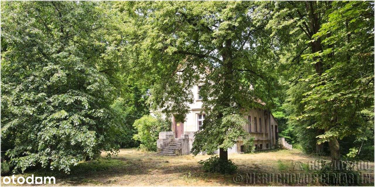 dworek z parkiem 4,1 ha Chlewiska k/Poznania-3