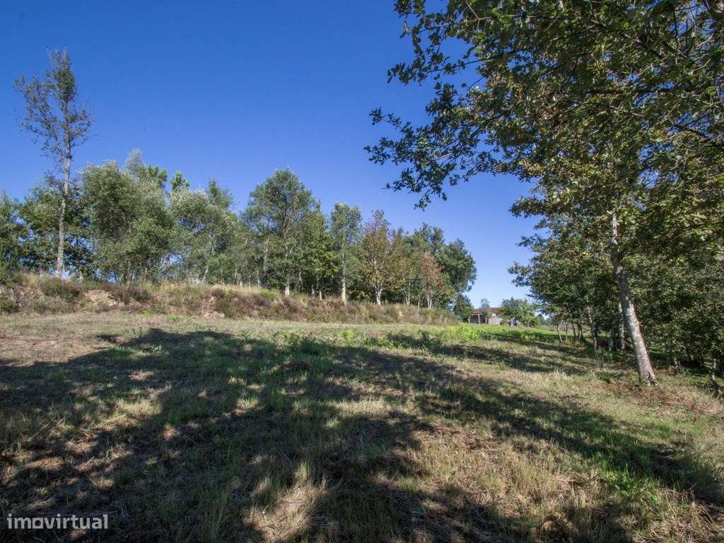 Quintinha com 30.000 m² e ruína em Anais, Ponte de Lima - Grande imagem: 5/35