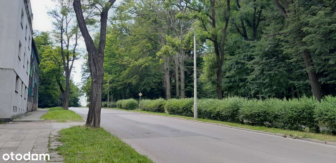 Kamienica Inwestycja Biznes do podziału lub pod wynajem-2