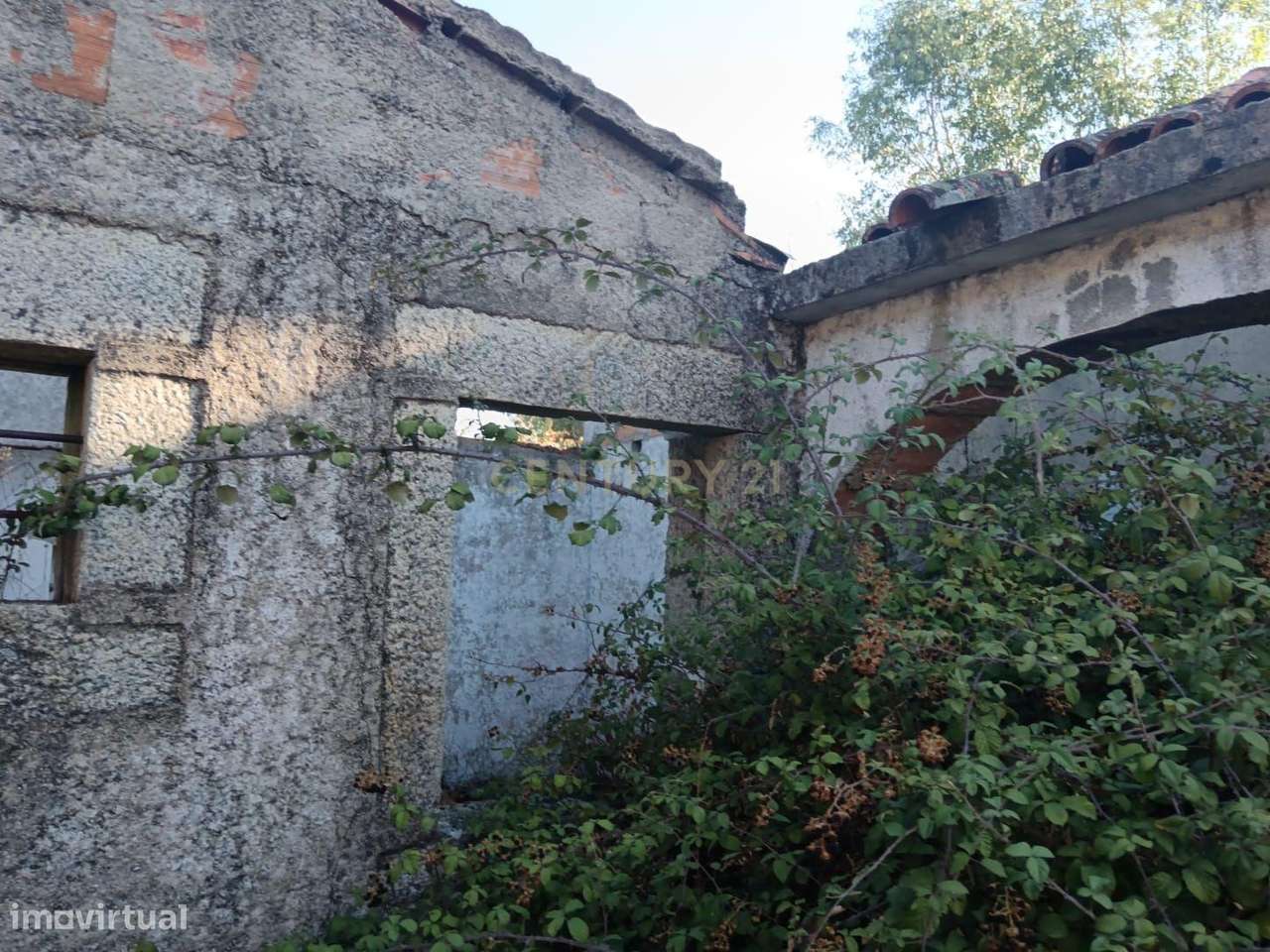 Propriedade Rústica em Escalos de Cima, com 104.250 m2, com 1 Construç - Grande imagem: 5/33