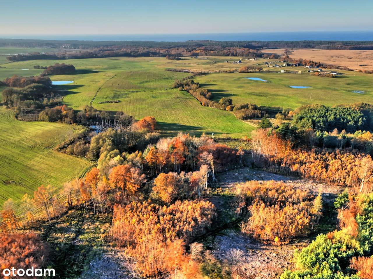 Działka na sprzedaż-6