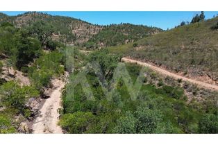 Terreno de 9,9ha com terraços e plantação - passível de construção - Grande imagem: 4/19