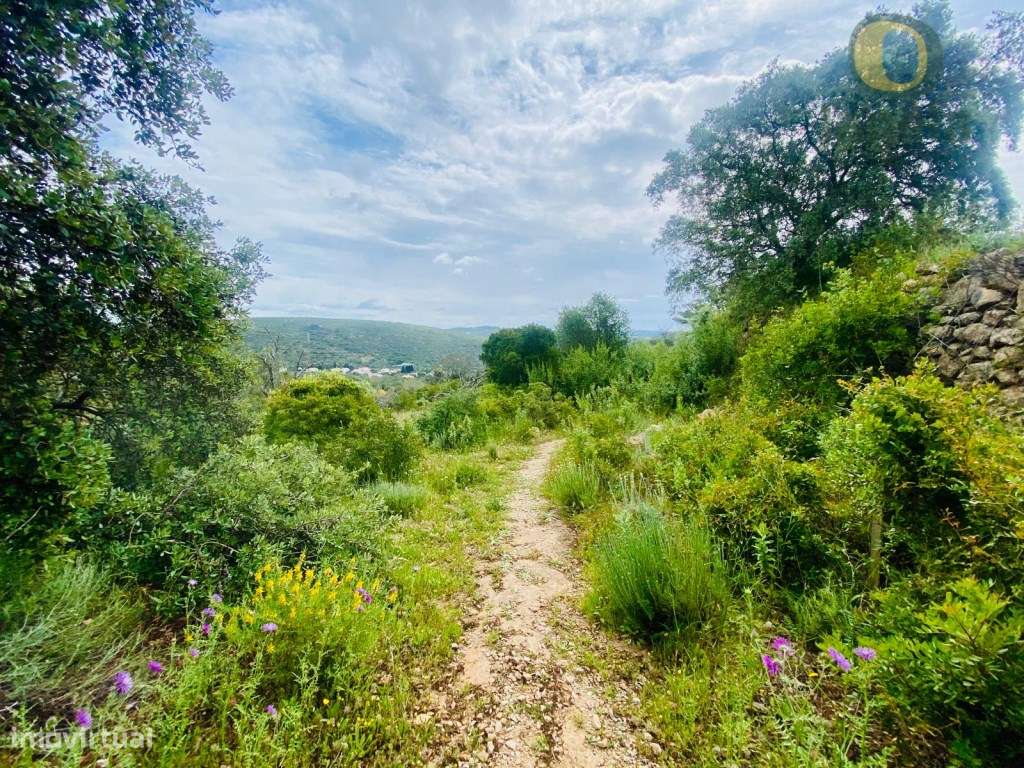 Terreno com duas ruínas e vista sobre o mar e serra - Grande imagem: 3/5
