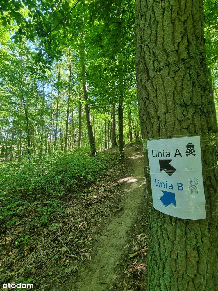 Działka budowlana w Dankowie – wyjątkowa lokalizacja pod inwestycję - Pełny obrazek: 4/8